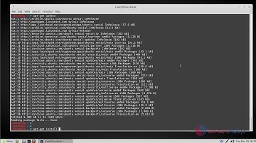 How to install Codelite 9.1.0 on Linux Mint 18.3