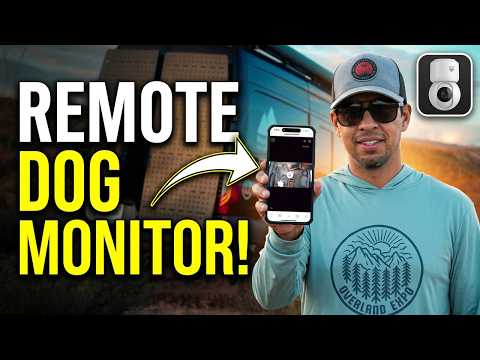 How to Talk to Your Dog Remotely (Van Life Tech Upgrade) #petcam #offgridliving #vanlife