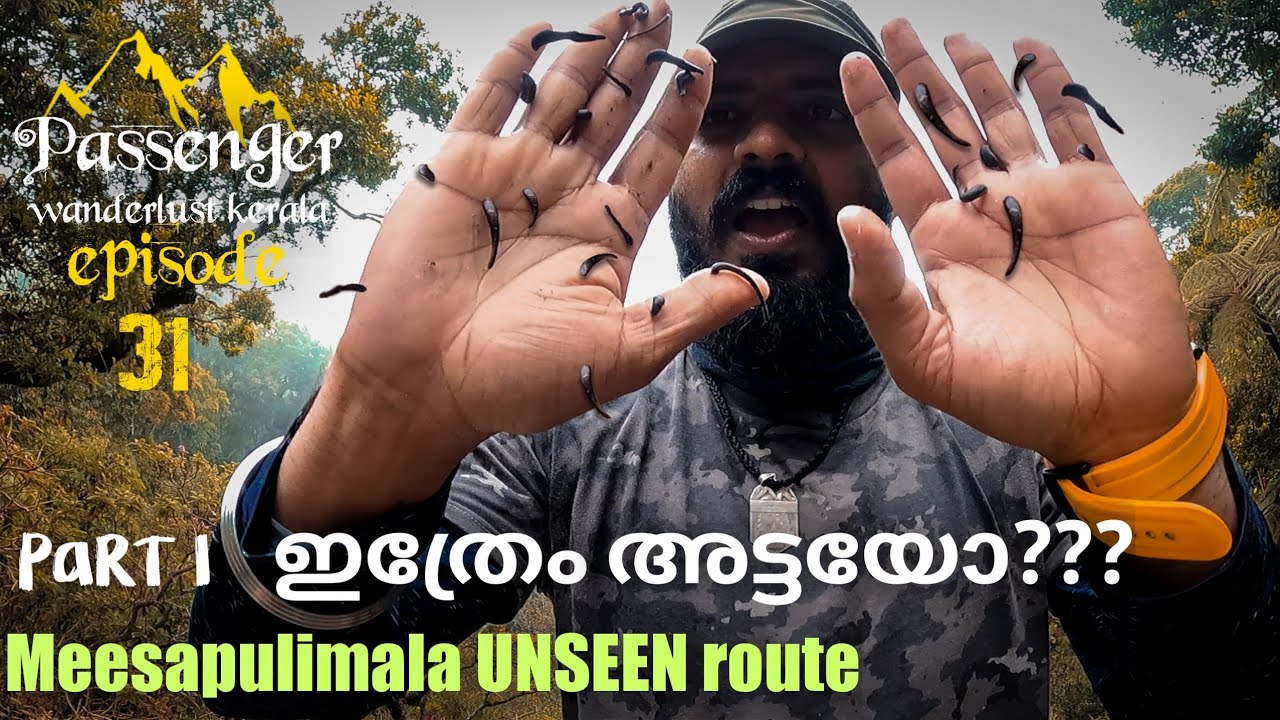 MEESAPULIMALA UNSEEN ROUTE|ഈ അട്ടകാട്ടിൽ നിന്നാൽ മരണം ഉറപ്പ്|മീശപുലിമല EP31 P1 #wanderlustkerala