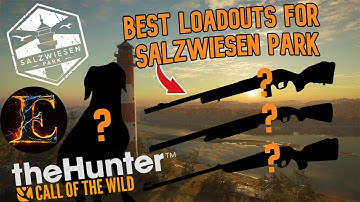 The BEST loadout for Salzwiesen Park in the Hunter Call of the Wild