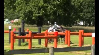 Sonny Hillier Sandringham2012.avi