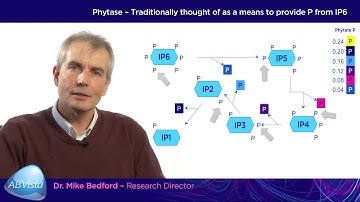 AB Vista – Superdosing, where are the benefits coming from? Pt 1.
