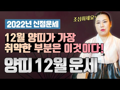   2022년 양력12월 양띠운세 12월 양띠가 가장 취약한 부분은 이거이다 조심하세요 인천용한점집 청화신당