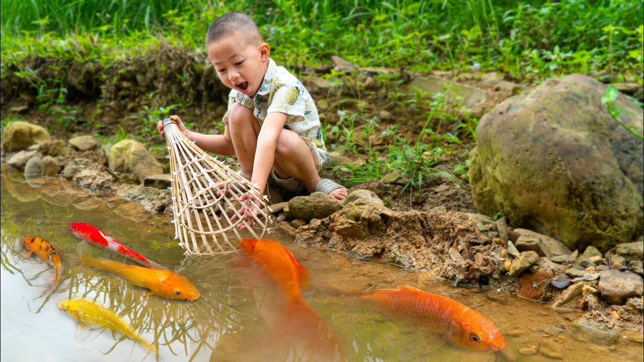 Thú vui bắt cá vàng tinh nghịch hài hước #cávàng #concá #fishing # ...