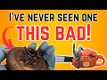 UNBELIEVEABLE! - The Worst Chainsaw Sprocket I Have Ever Seen (Husqvarna 455 Rancher)