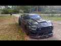 The stang comes out