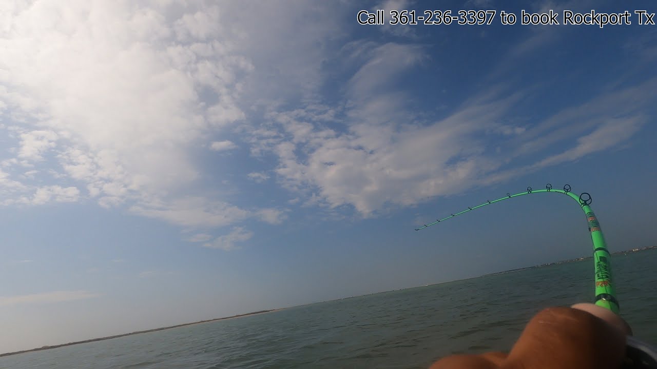 Wade Fishing Corpus Christi Bay For Speckled Trout YouTube