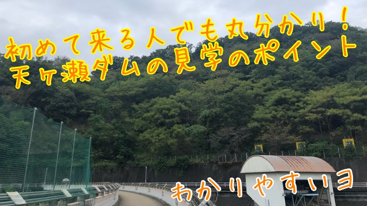 初めて訪れる方必見！天ヶ瀬ダム見学のポイントをご紹介！