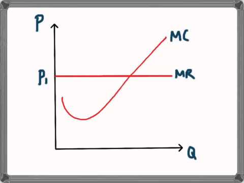Marginal Revenue in