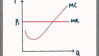 Marginal Revenue in Perfect Competition & Monopoly