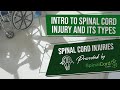 Types of Spinal Cord Injury: Covering Basic Anatomy, Treatment, and Recovery from Spinal Cord Injury
