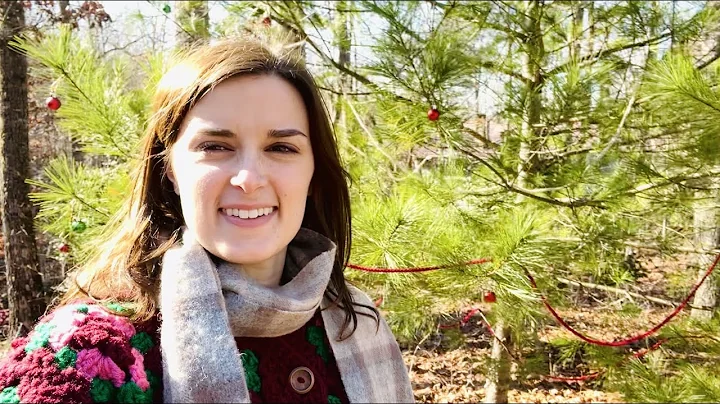 Decorating a Tree in My Yard!