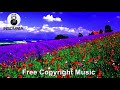 Quiero Ser Libre (For Liberty) - Free Copyright