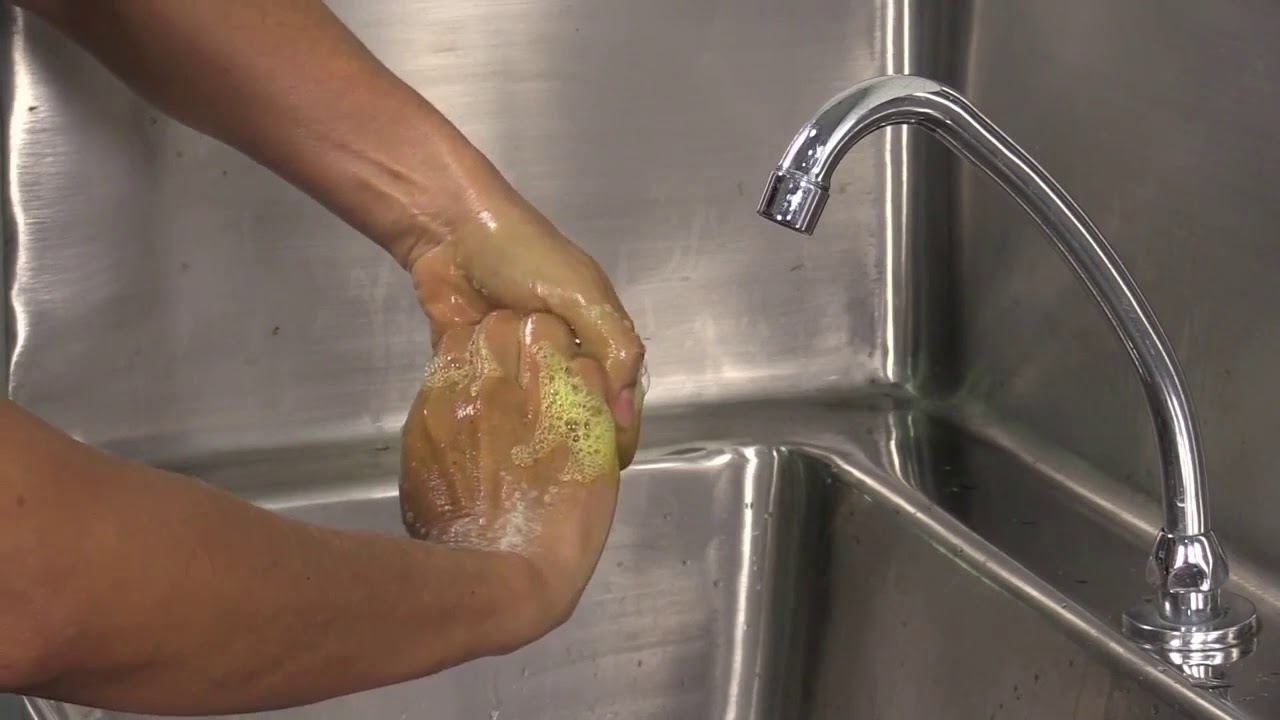 Manipuladores de Alimentos, vestimenta, tipos de carnet en Panamá