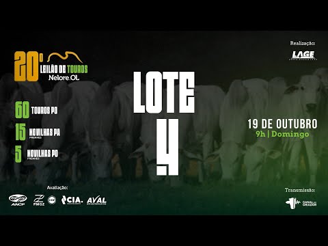 LOTE 4 A6113 PO - 20º Leilão de Touros Nelore OL