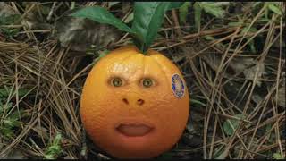 Maiara Walsh Stomps Talking Orange In The Starving Games