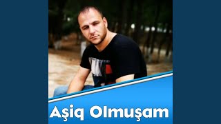 Aşiq Olmuşam - Elvin Qemli official