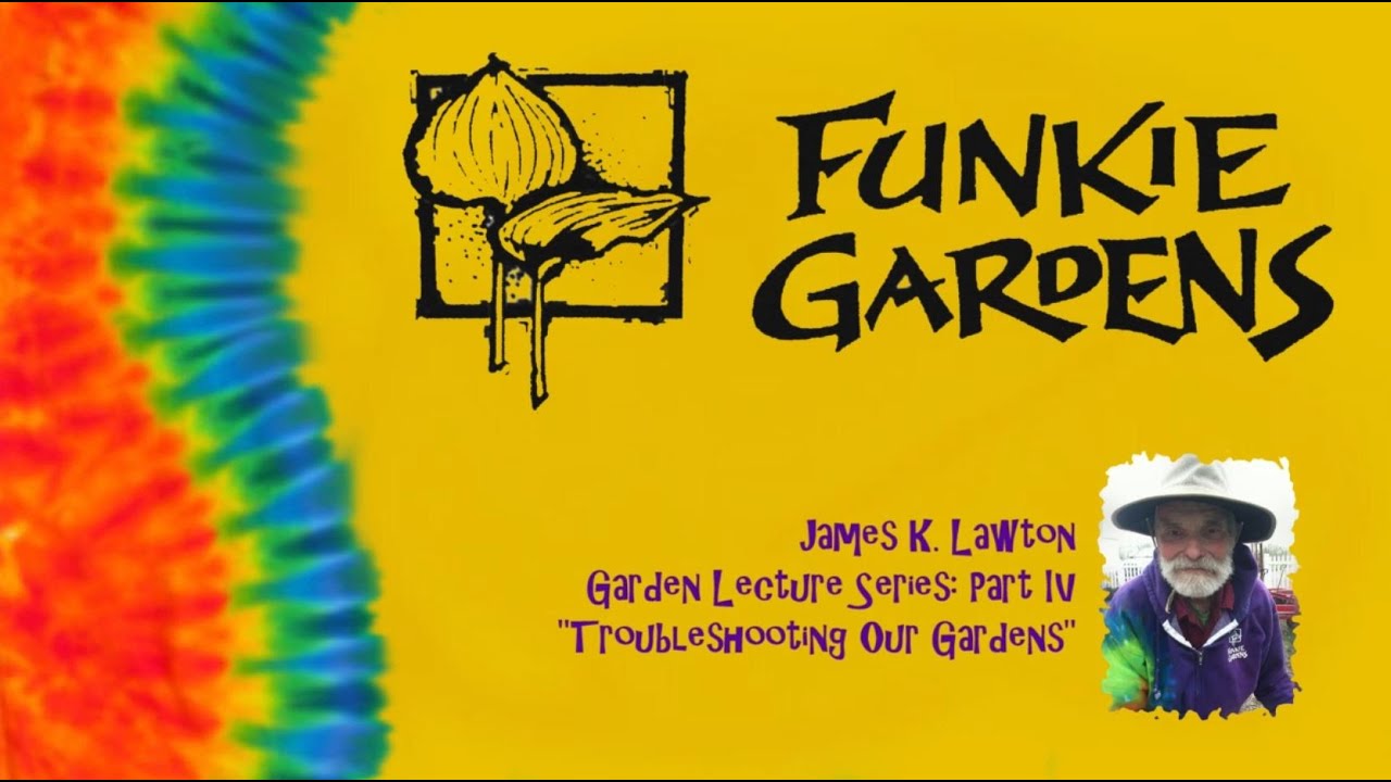 Funkie Gardens (Marine on St. Croix, MN) // James Lawton