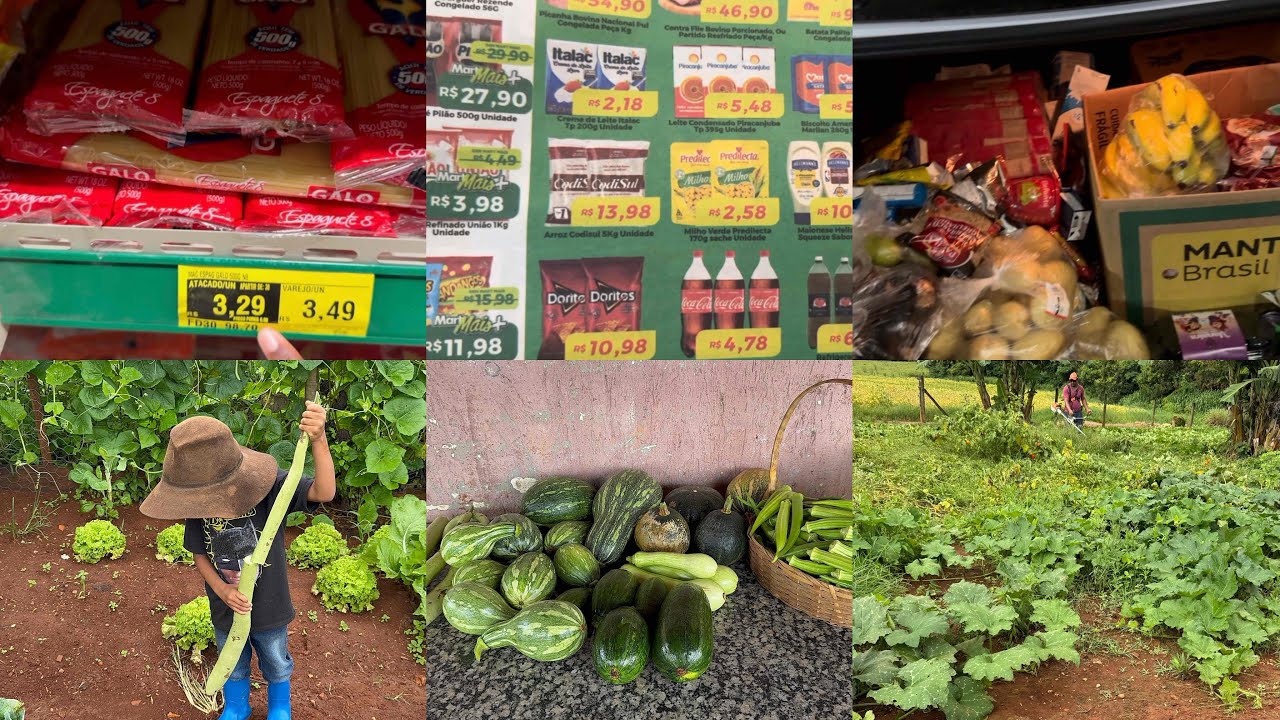 Fui às compras no atacadão //colhendo o que plantamos!!