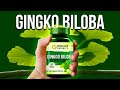 Ginkgo Biloba Benefits | MIRACLE Nootropic?