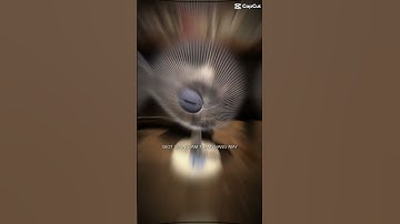 Quạt lửng senko l1638