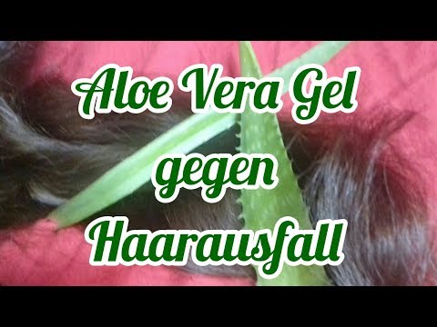 Video: Aloe Vera Für Haare: Vorteile Für Das Haarwachstum