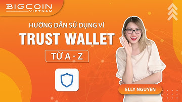 5 lí do nên sử dụng Trust Wallet là gì? Hướng dẫn sử dụng ví Trust từ A-Z | Bigcoin Vietnam