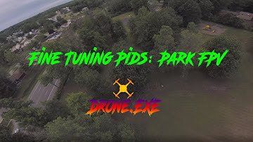 Fine Tuning My Rates: Park FPV