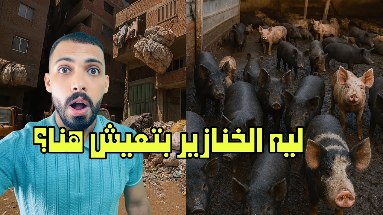 	“رحلة داخل مدينة القمامة… منشية ناصر حي الزبالين المكان اللي محدش يتخيله🚮