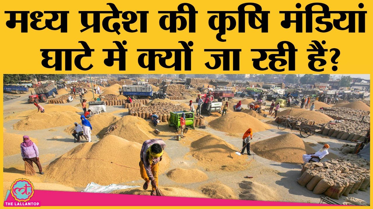 Madhya Pradesh की APMC Mandis नुकसान में क्यों हैं? Farmers Protest का इससे क्या Connection है?