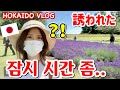 남친 없이 여행하는데 모르는 남자가 말을 걸어 오네요…홋카이도 여행vlog2【한일커플/국제커플】