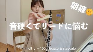 朝練！アイヒラー/クラリネットのためのスケール ロ短調　eichler scale for clarinet h moll