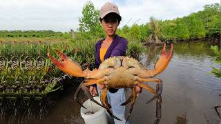 Catching Huge Mud Crabs in the Sea Swamp After Low Tide | Fishing Sea Crabs at Swamp
