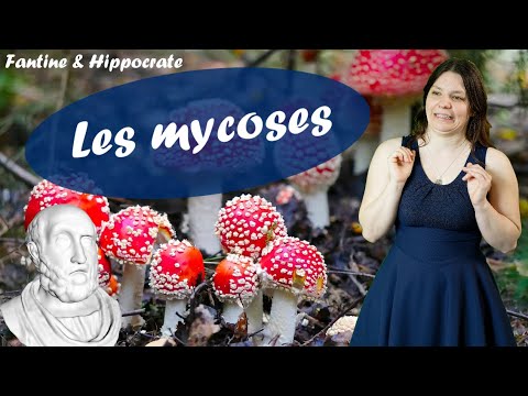 🍄🍑🍆 Mycoses - Fantine & Hippocrate #24