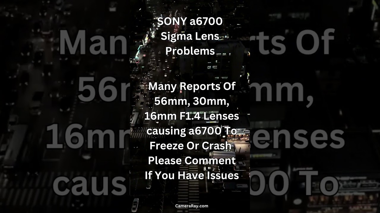 SONY a6700 Issues With Sigma Lenses Crashing Camera 