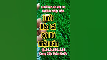 Lưới Kéo Cá Vét Cá Ao Sông Hồ Đầm Ruộng Lúa - Lưới Kéo Cá Vét Cá Sợi Dù Nhật Bản