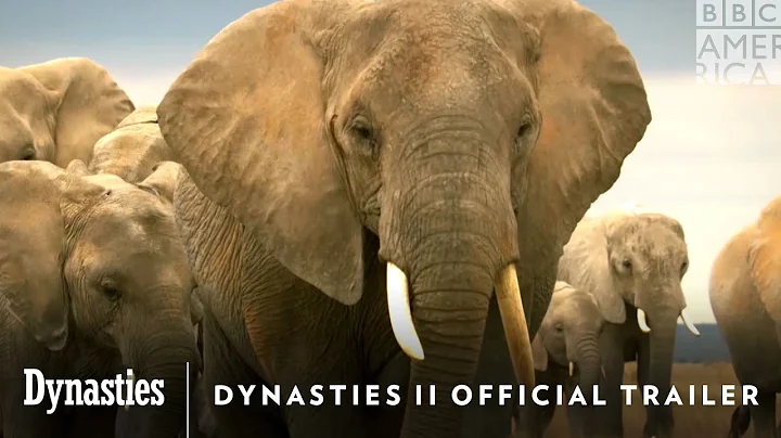 Dynasties II Official Trailer | May 21st on AMC+ & BBC America