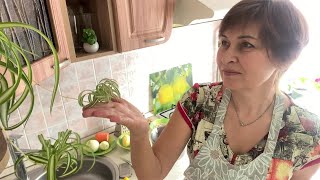 картинка: Обед. Как питаюсь, чтобы быть в форме.