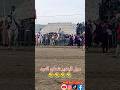 مول البندير شطح العود Viral Viralvideos CatsoftheDay CatObsessed Cat Catslover Cutecat Cu 