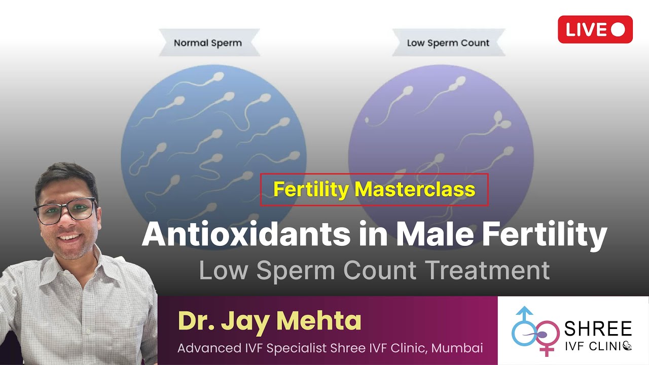 Fertility Masterclass 43 Antioxidants in Male Fertility Low Sperm