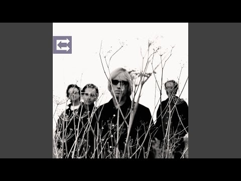 Tom Petty and the Heartbreakers — Won't Last Long