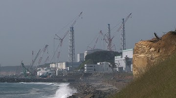 『福島 生きものの記録 シリーズ３～拡散～』映画オリジナル予告編