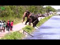 🔴 Unbelievable Most Extreme Elephant Rescue Compilation 2021