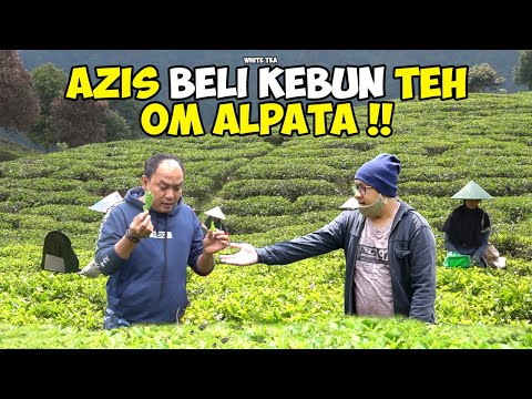 GILA!!! TEH KAYAK GINI BISA SAMPE 3 JUTA??!! II Azis Gagap and Friends