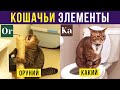 Приколы с котами. Кошачьи элементы – КАКИЙ, КУСИЙ, ОРУНИЙ | Мемозг #298