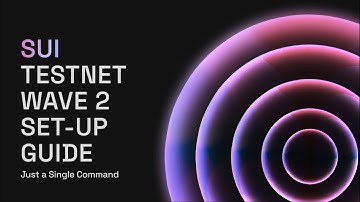 Sui Testnet Wave 2 Node Setup Guide "Just a Single Command"
