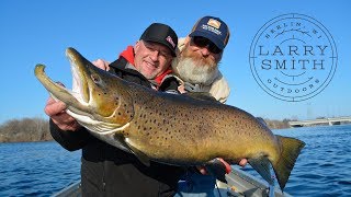 Trolling for GIANT Spawning Brown Trout