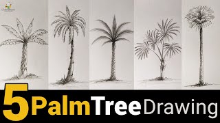5 Palm Tree Drawing | Pencil Drawing with Shading