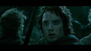 Moongates Guardian - Far over Wood and Mountain Tall