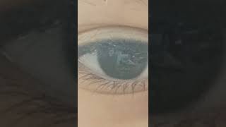 12 April 2025